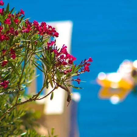 Villa Jasmin Posedarje