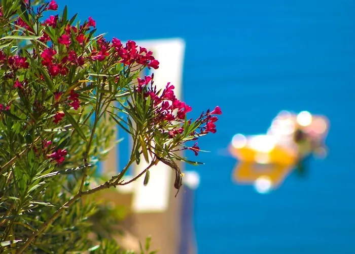 וילה Jasmin פוסדריה